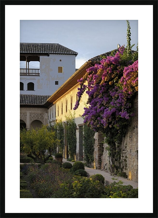 Patio de la Acequia   Generalife The Alhambra Granada Andalusia Spain Picture Frame print
