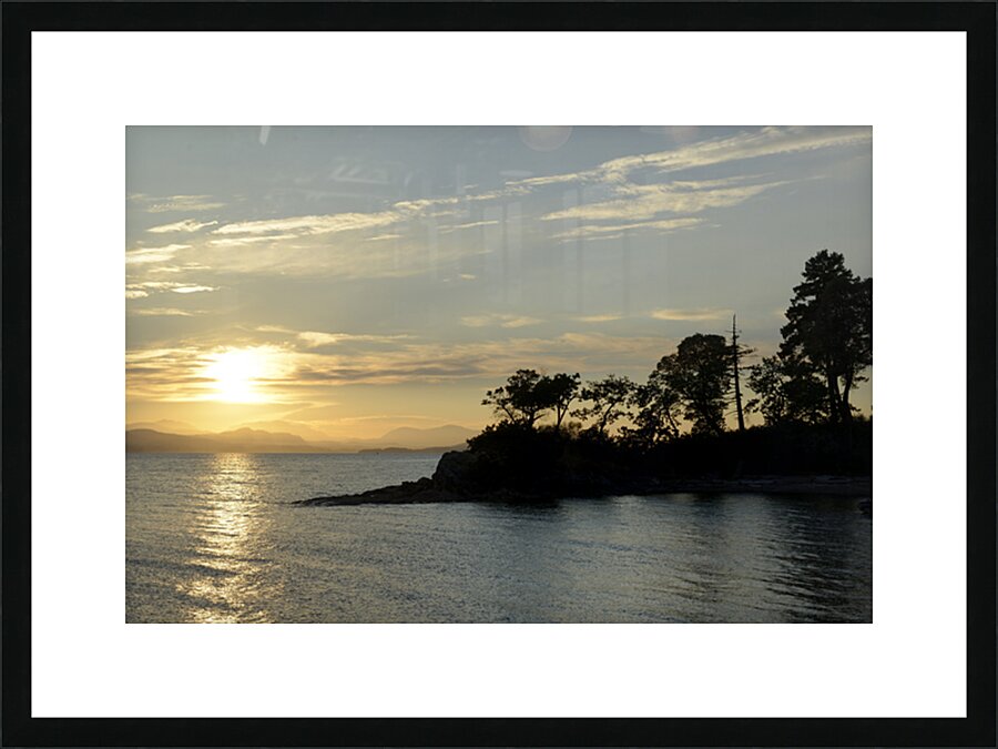 Sunset over Vancouver Island with silhouetted trees Picture Frame print