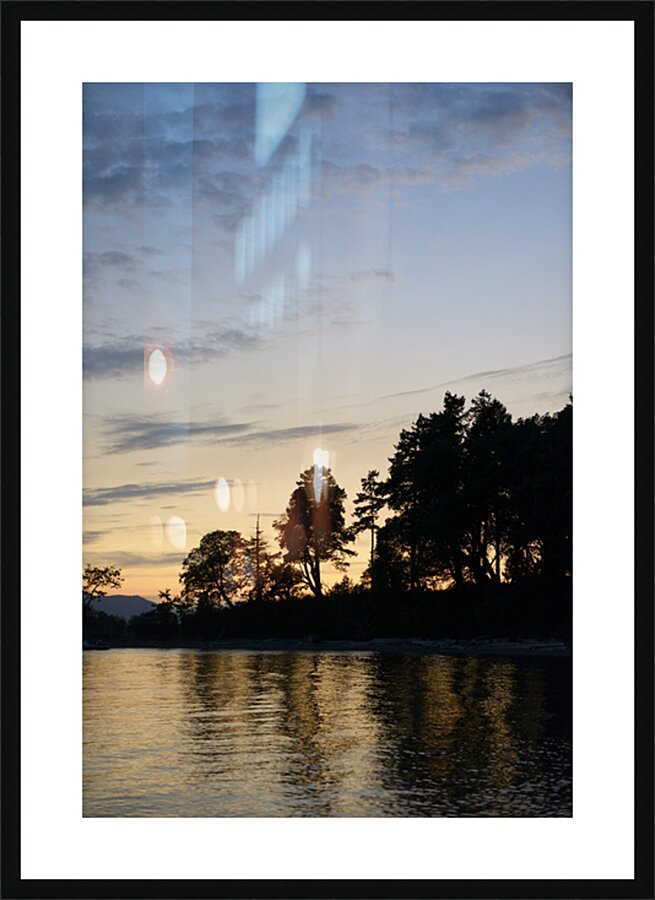Silhouetted trees at sunset Picture Frame print