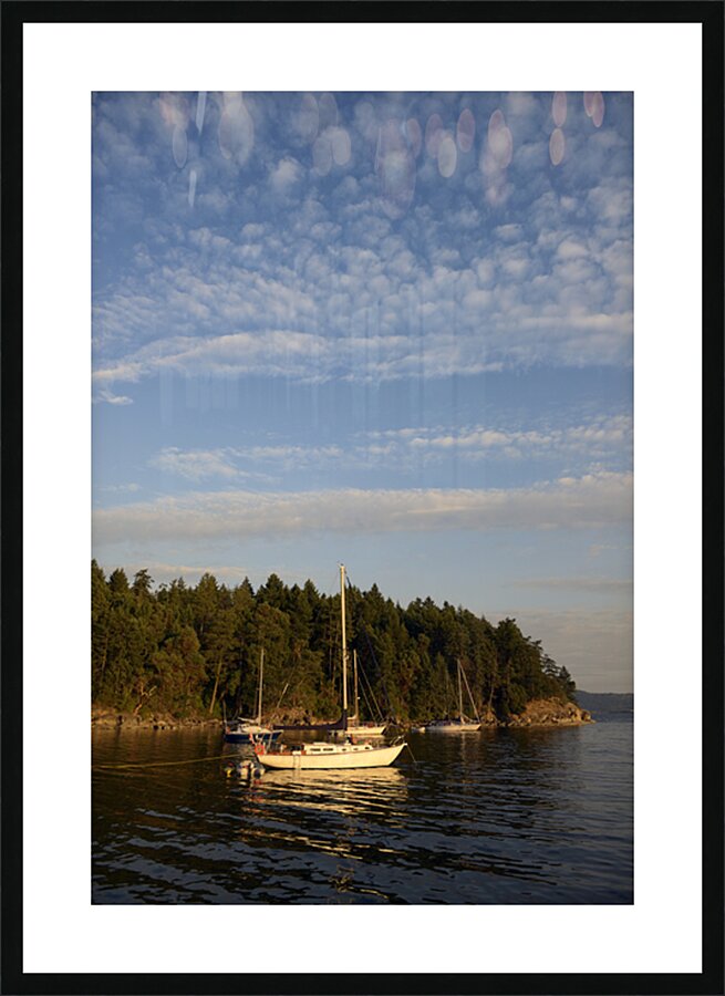 Sailboats at anchor on the west side of Tent Island Picture Frame print
