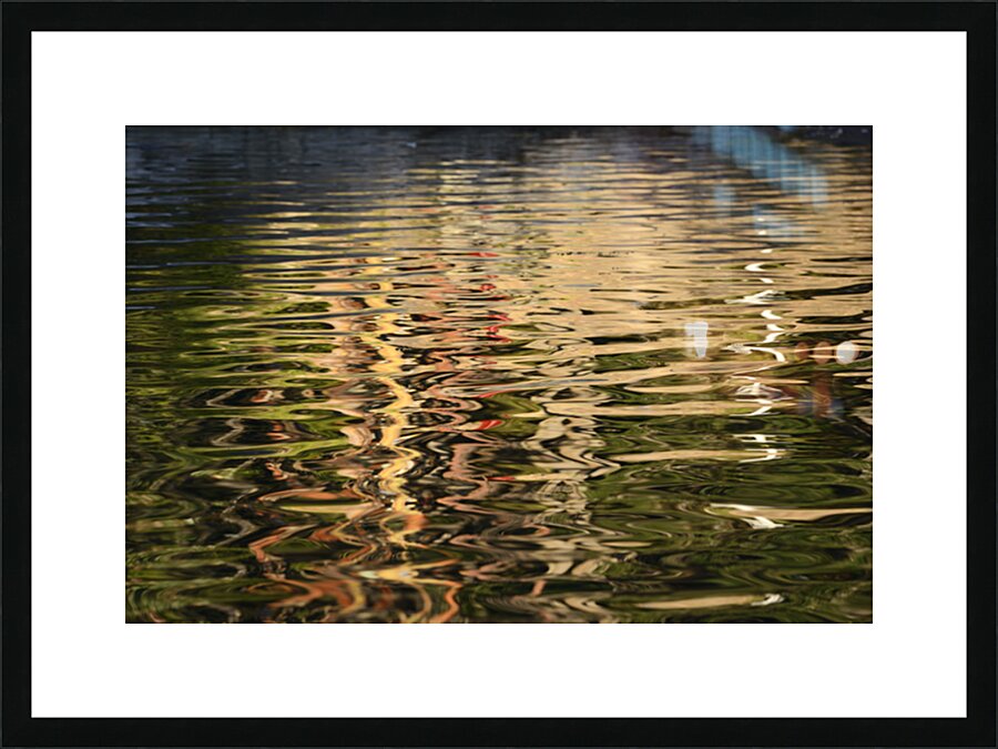 Trees reflected in the ocean Picture Frame print