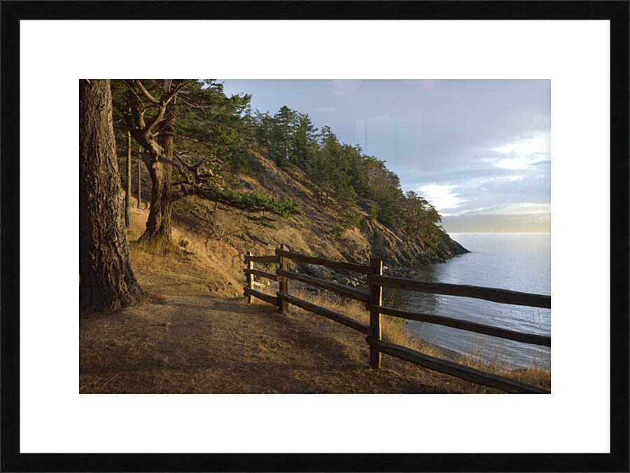 Wood fencing along the cliffs at East Cove Picture Frame print