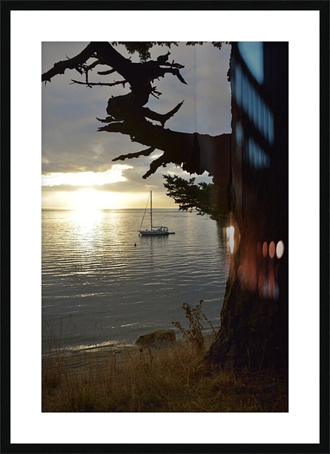 Calm sunset - James Island - San Juan Islands Picture Frame print