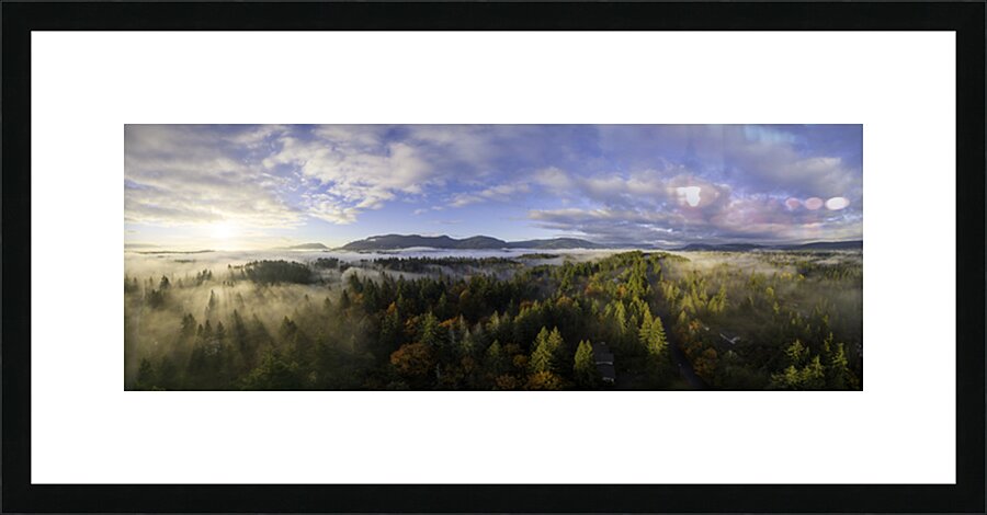 Spring Rays - Vancouver Island Picture Frame print