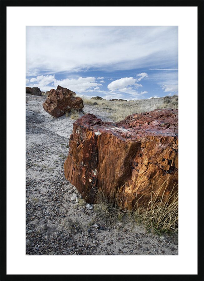 KO A98145 Picture Frame print