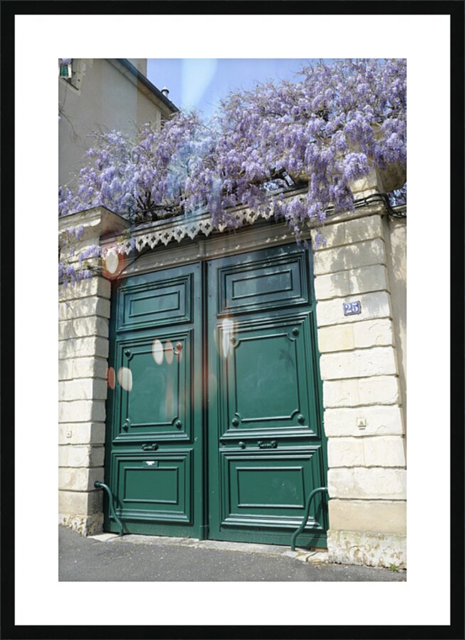 Green door with Wisteria plant in bloom. Nevers Nievre. France Picture Frame print