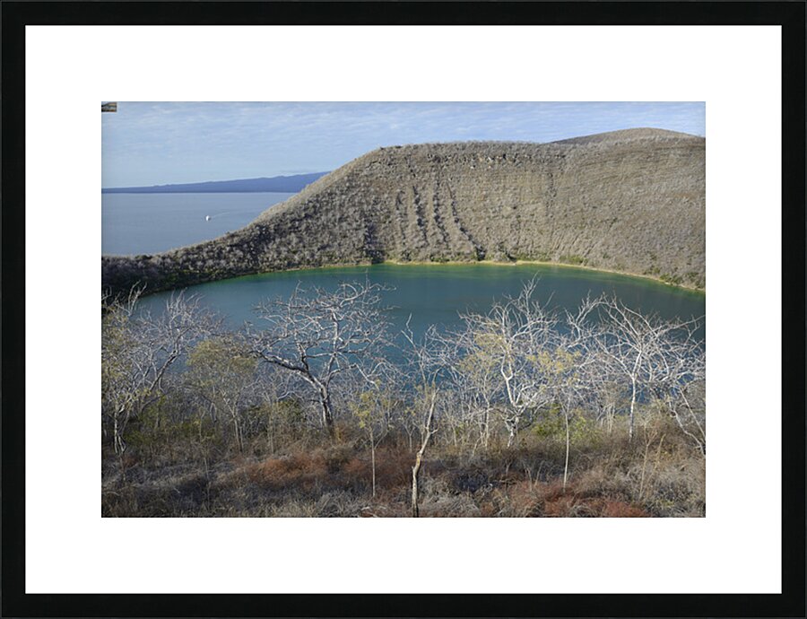 KO EC 11387 Picture Frame print