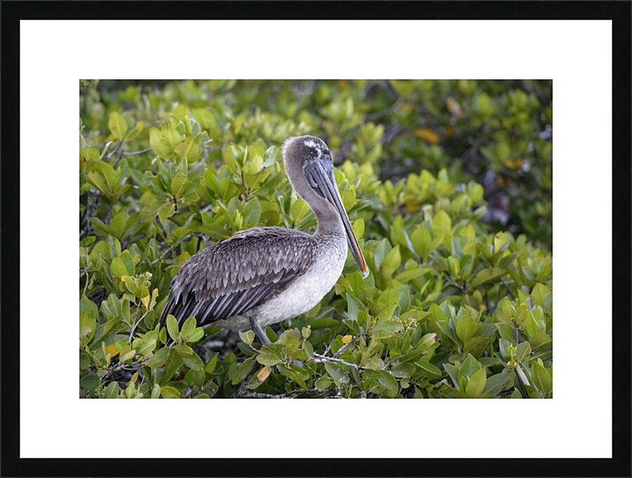 KO EC 7861 Picture Frame print