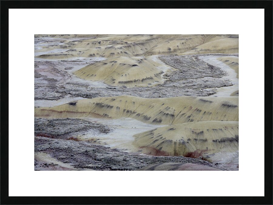 John Day Fossil Beds National Monument Oregon Picture Frame print