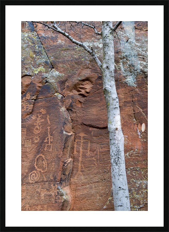 Ancient petroglyphs showcasing animal figures and geometric designs Crane Petroglyph Site Verde Valley Arizona Picture Frame print