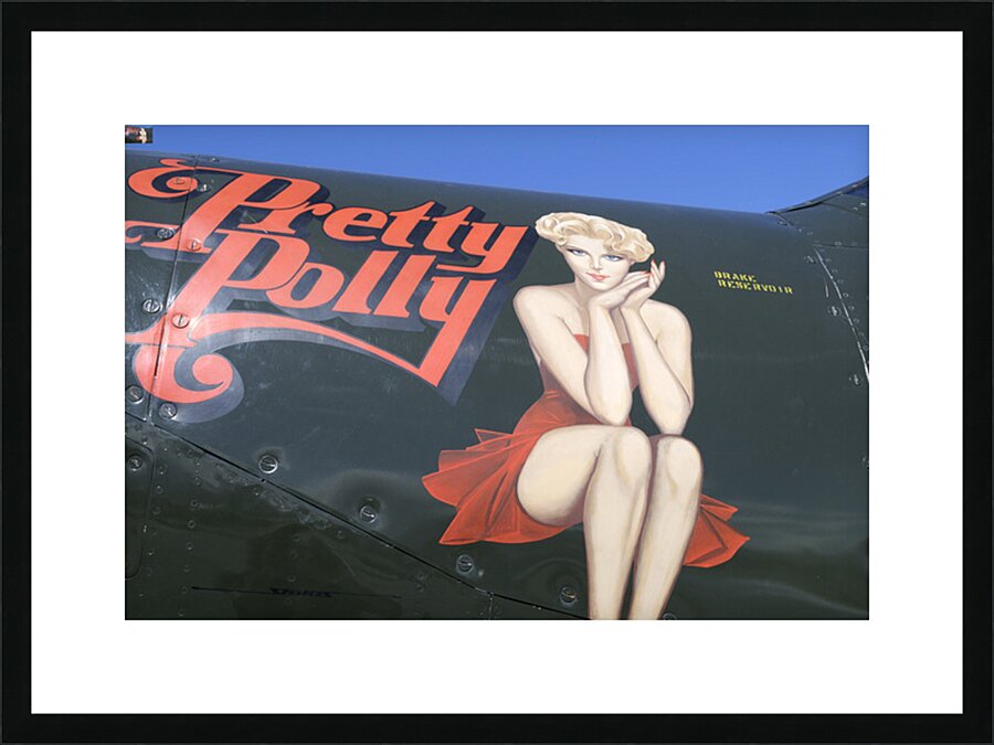 Bell P 63 Kingcobra Palm Springs Air Museum Picture Frame print