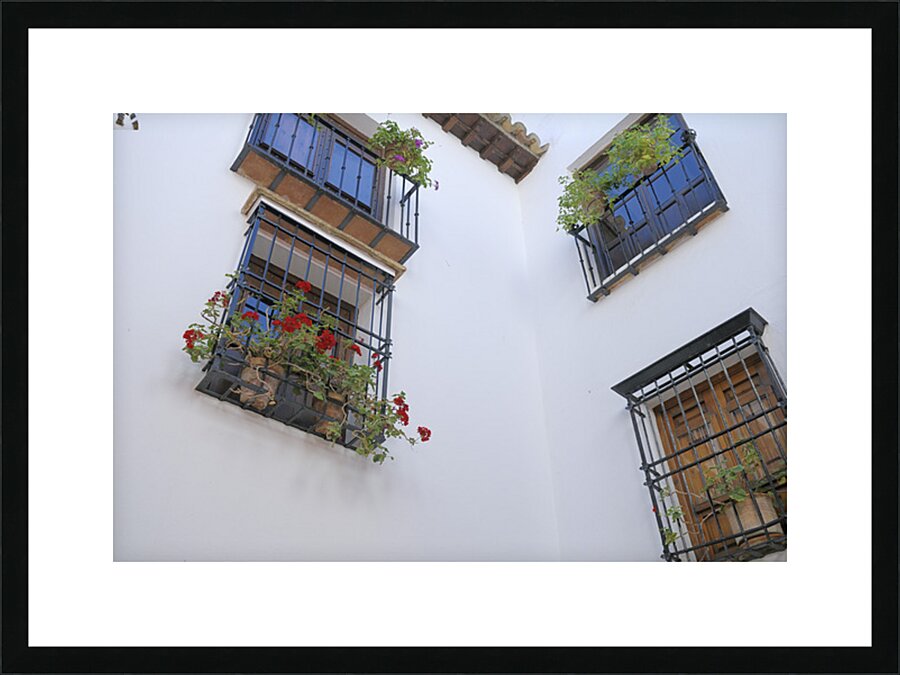 Windows with potted plants  Mondragons Palace Ronda Málaga Andalusia Spain Picture Frame print