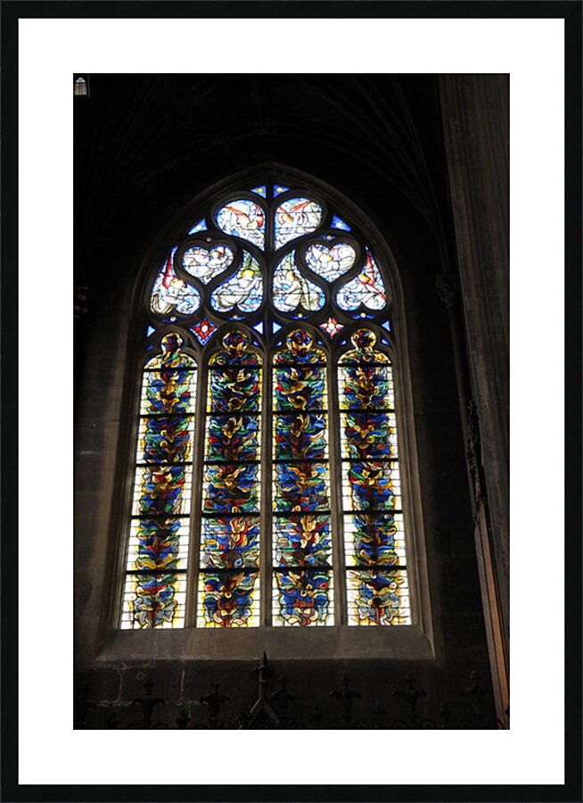 Cathedrale Saint Jean Baptiste Lyon France Picture Frame print