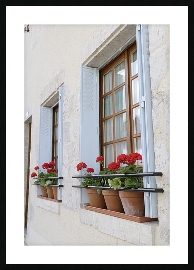 Potted red geraniums in a window Châtillon sur Loire Centre France Picture Frame print