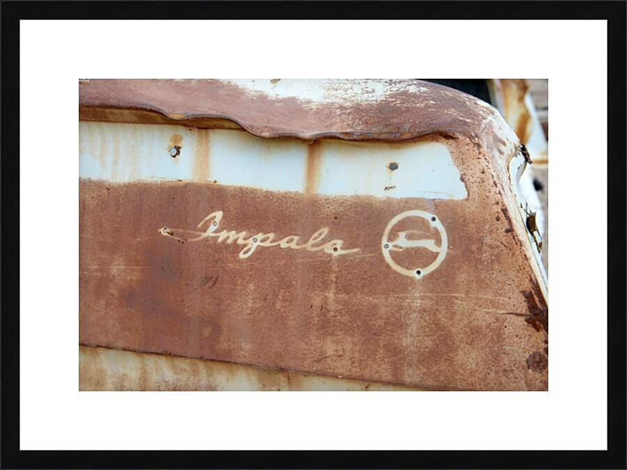 Rhyolite Nevada USA Picture Frame print