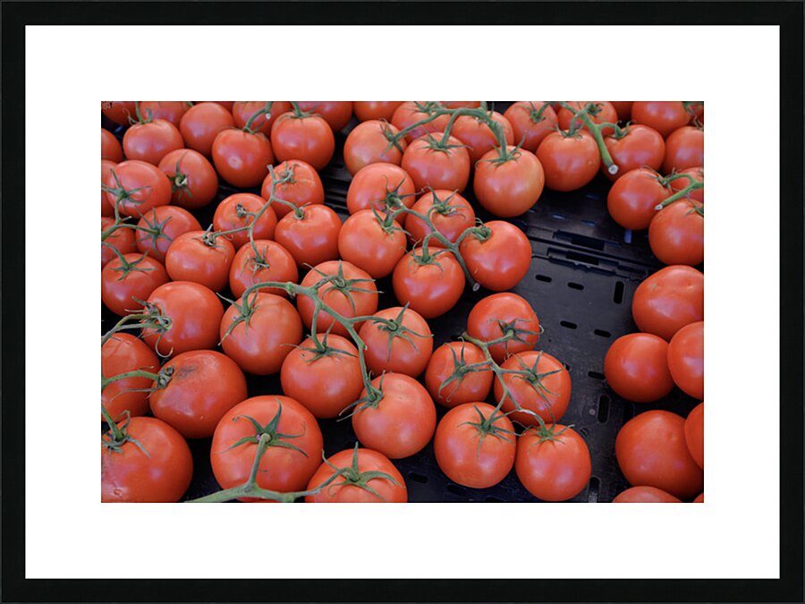 KO D16949 Picture Frame print