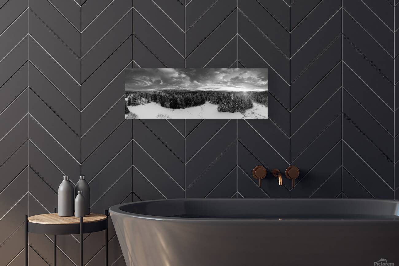 Cowichan Winter - Black & White Reproduction