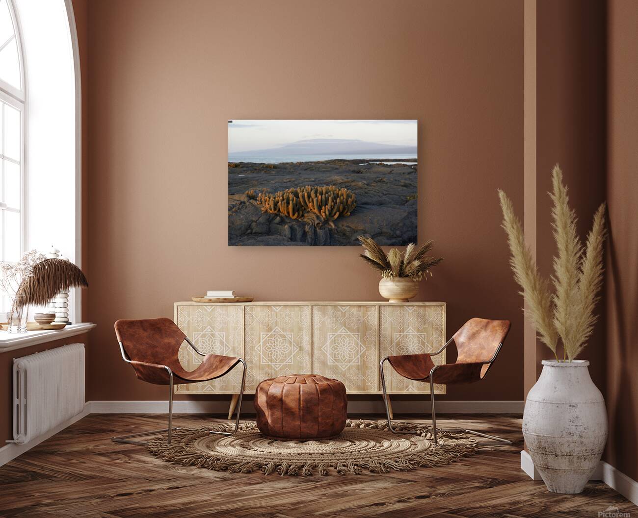 Lava Cactus Reproduction