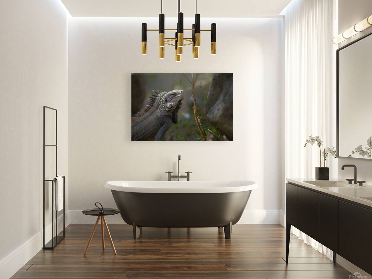 Green Iguana Reproduction