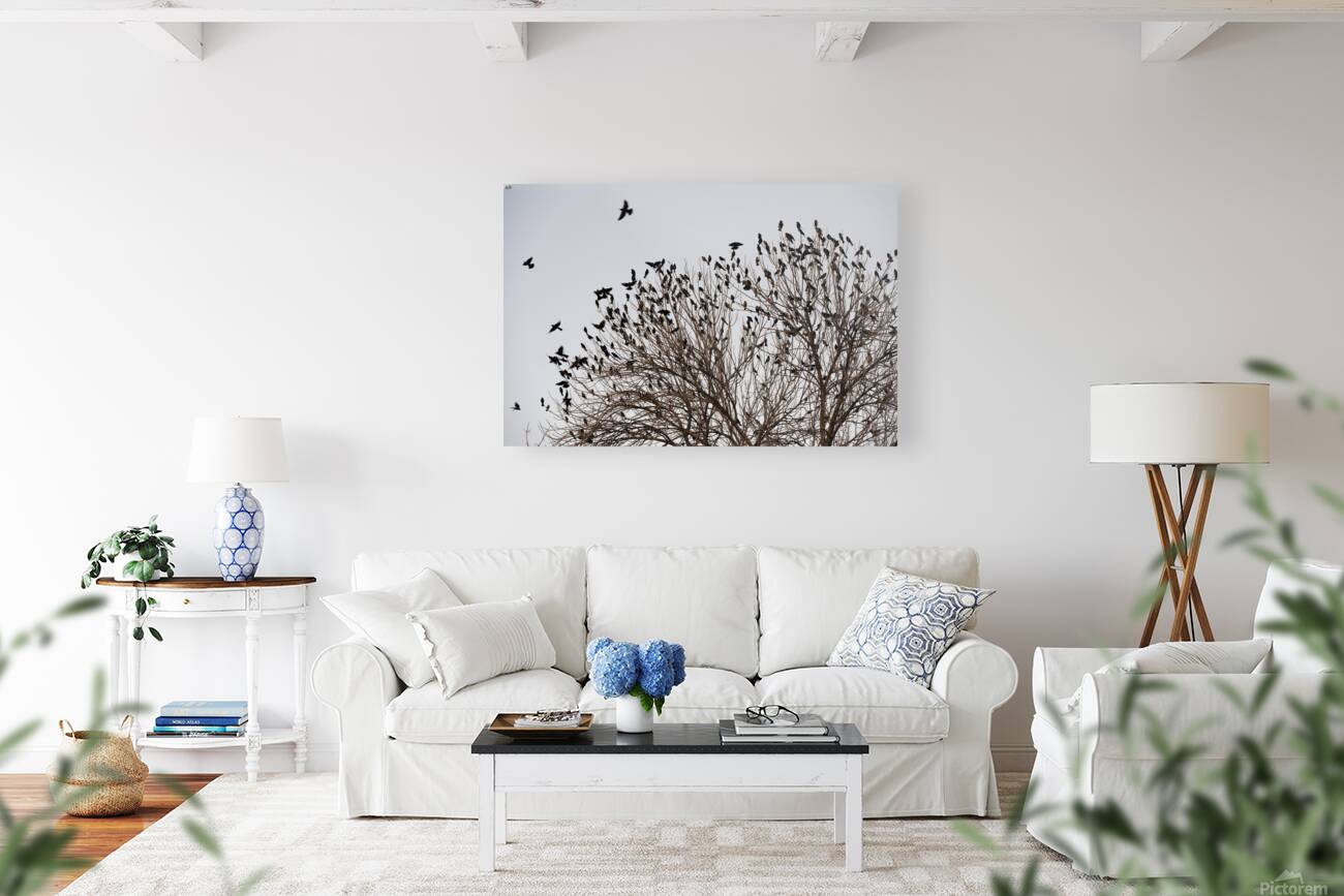 Birds in Flight Reproduction