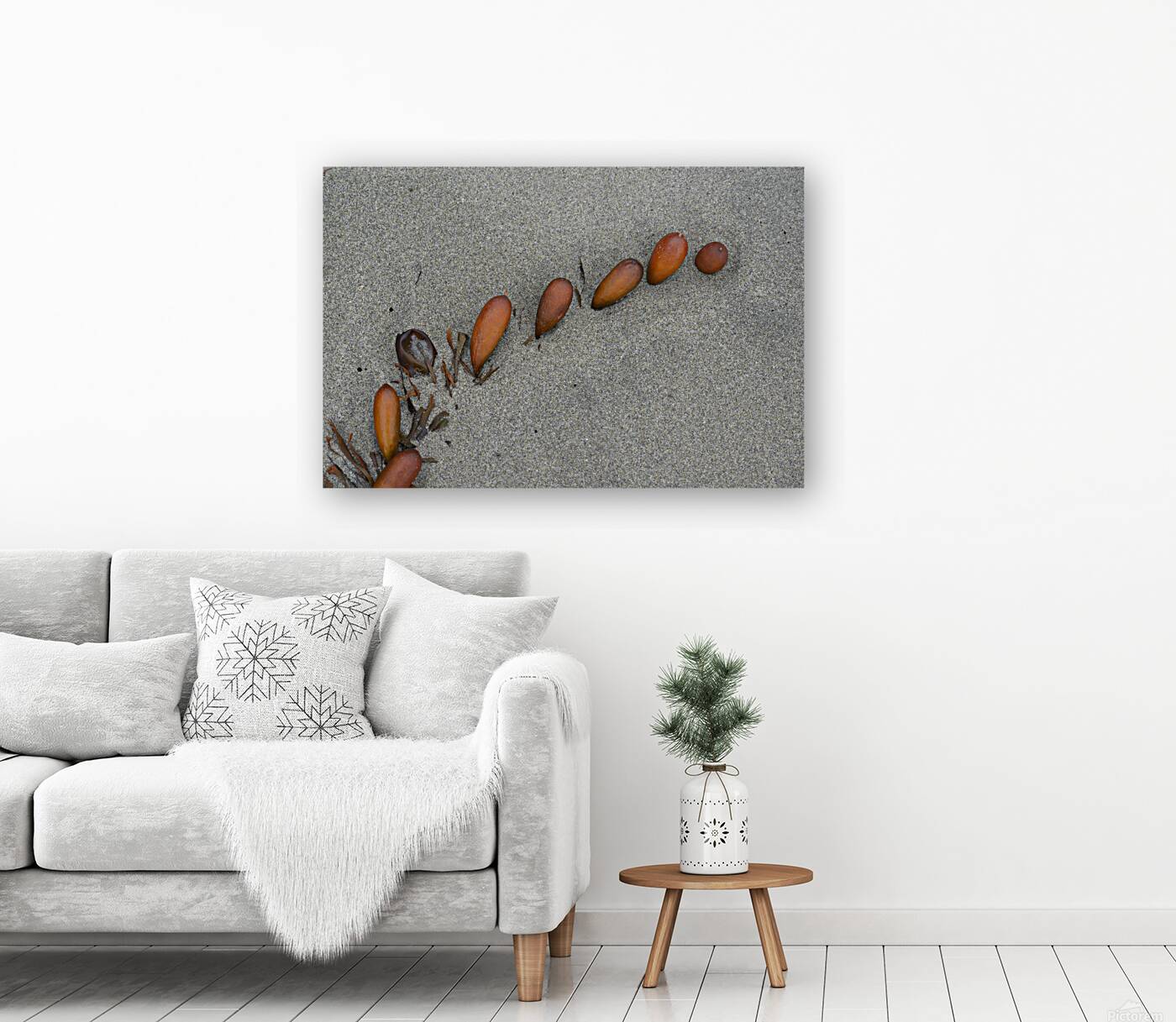 Seaweed floats - Florencia Beach Reproduction