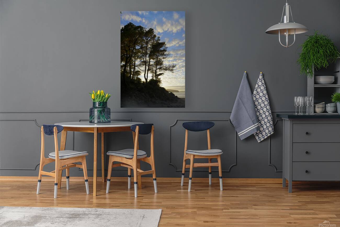 Gnarled trees at sunset Reproduction