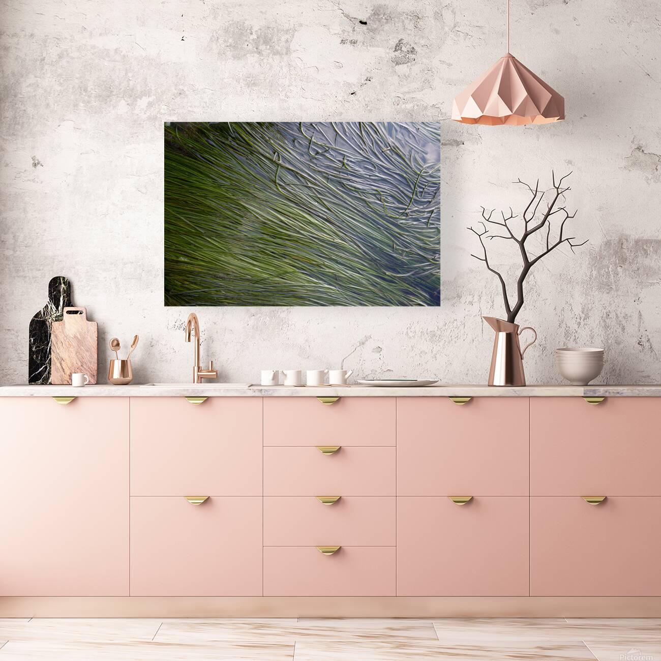 Eel grass in a tide pool Reproduction