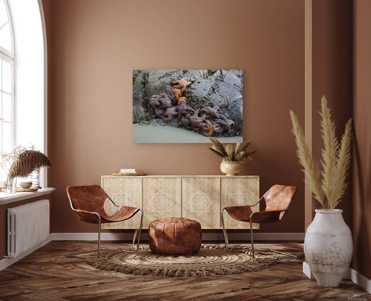 Sea stars on the rocks at Tonquin Beach Reproduction