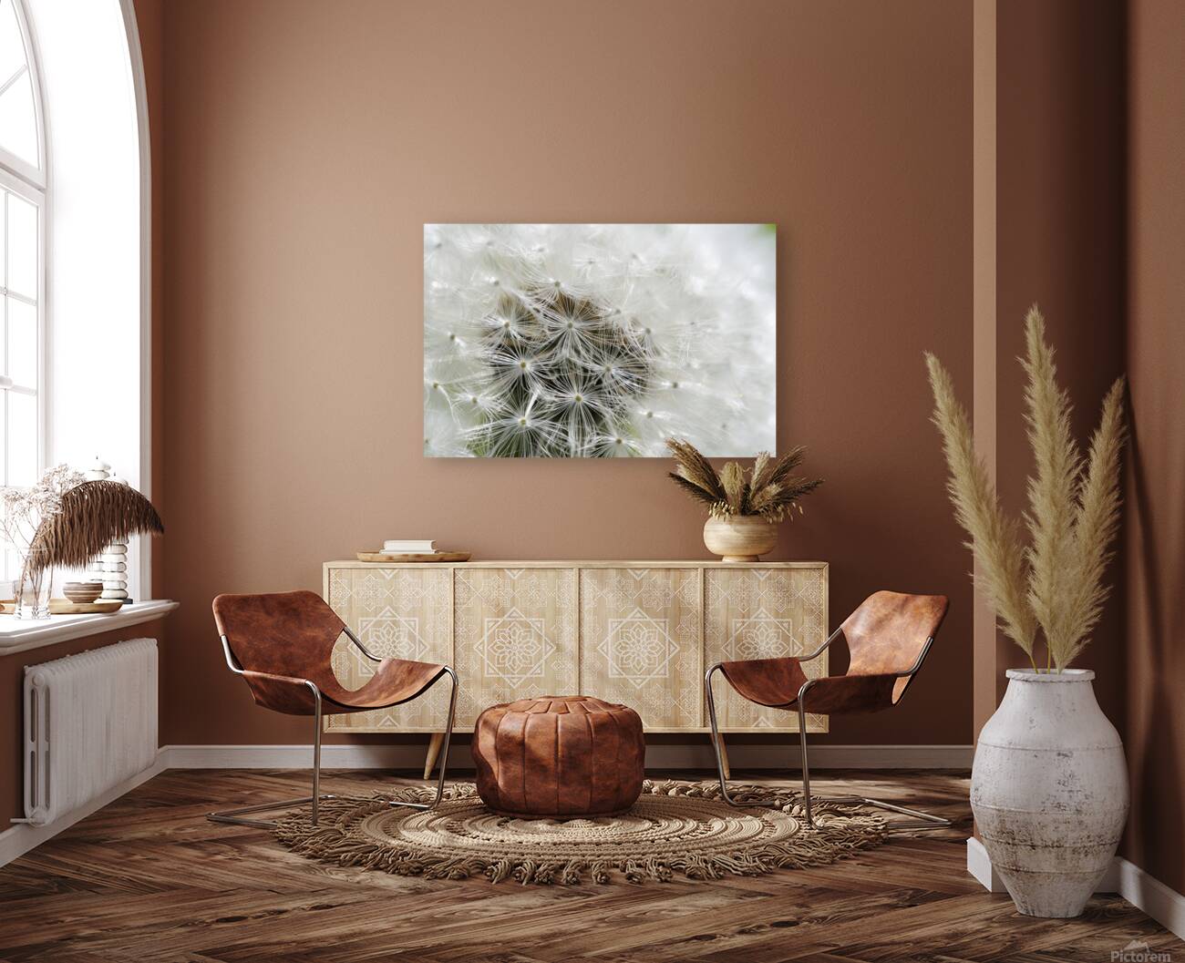 Dandelion Cowichan Valley Vancouver Island British Columbia Canada Reproduction