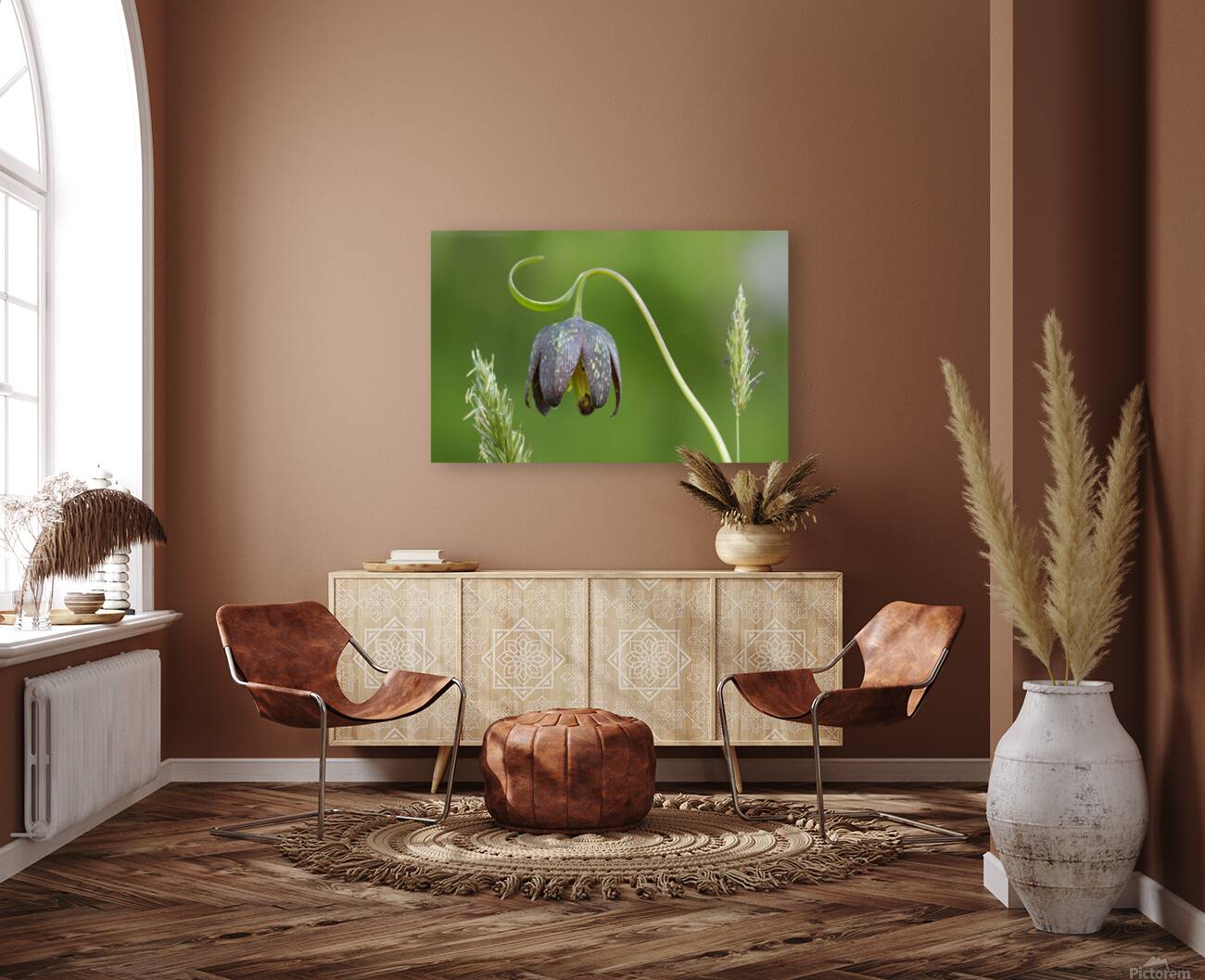 Chocolate Lily Fritillaria affinis Cowichan Valley Vancouver Island British Columbia Canada Reproduction