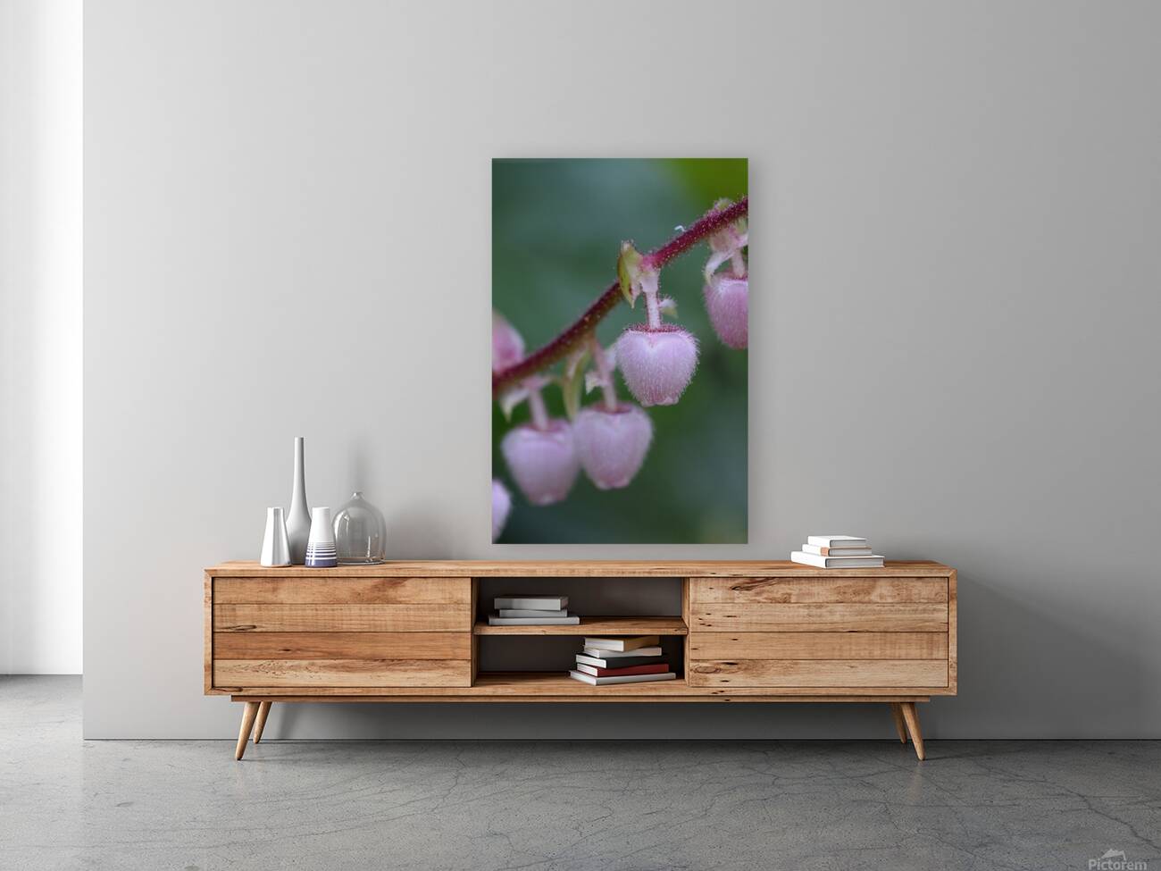 Salal Gaultheria shallon Cowichan Valley Vancouver Island British Columbia Canada Reproduction