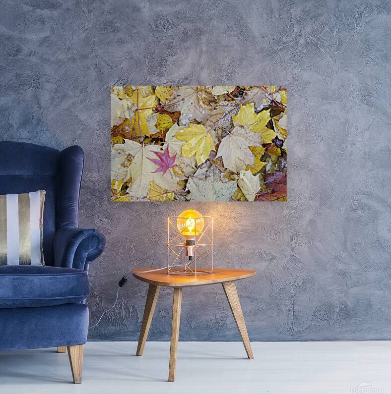 KO A04679 1 Reproduction