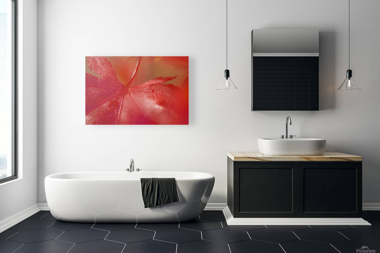 KO 50411 1 Reproduction