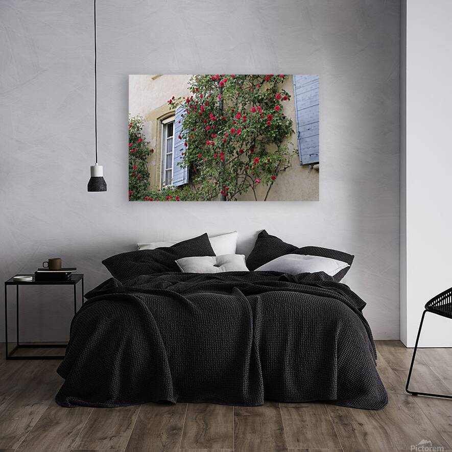 Roses climbing a wall Lourmarin Reproduction