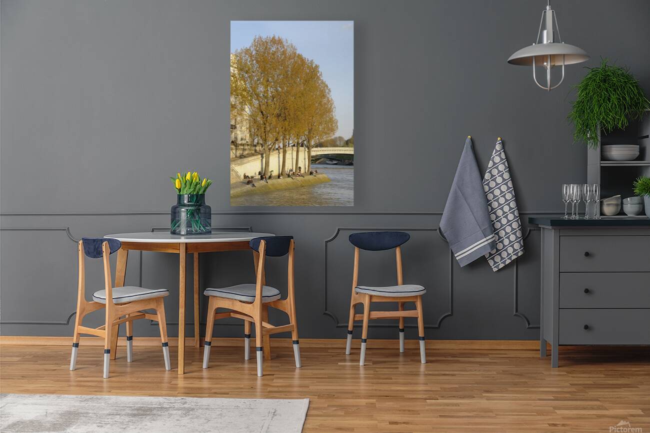 Enjoying a warm spring day on the banks of the Seine River - Paris Reproduction