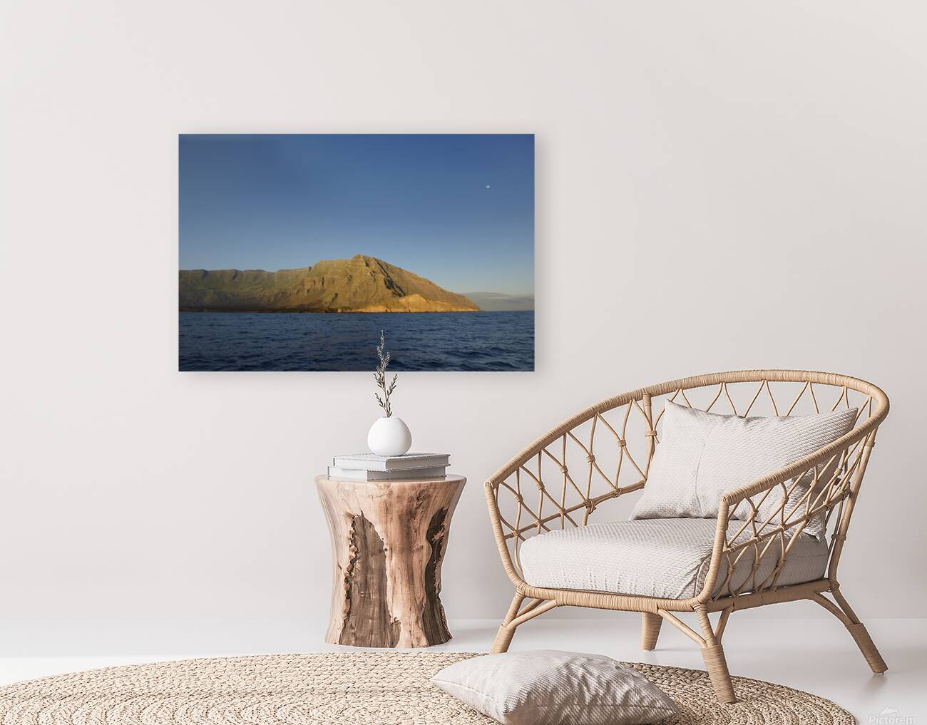 Punta Vicente Roca Isabela Island Galapagos Islands Ecuador
 Reproduction