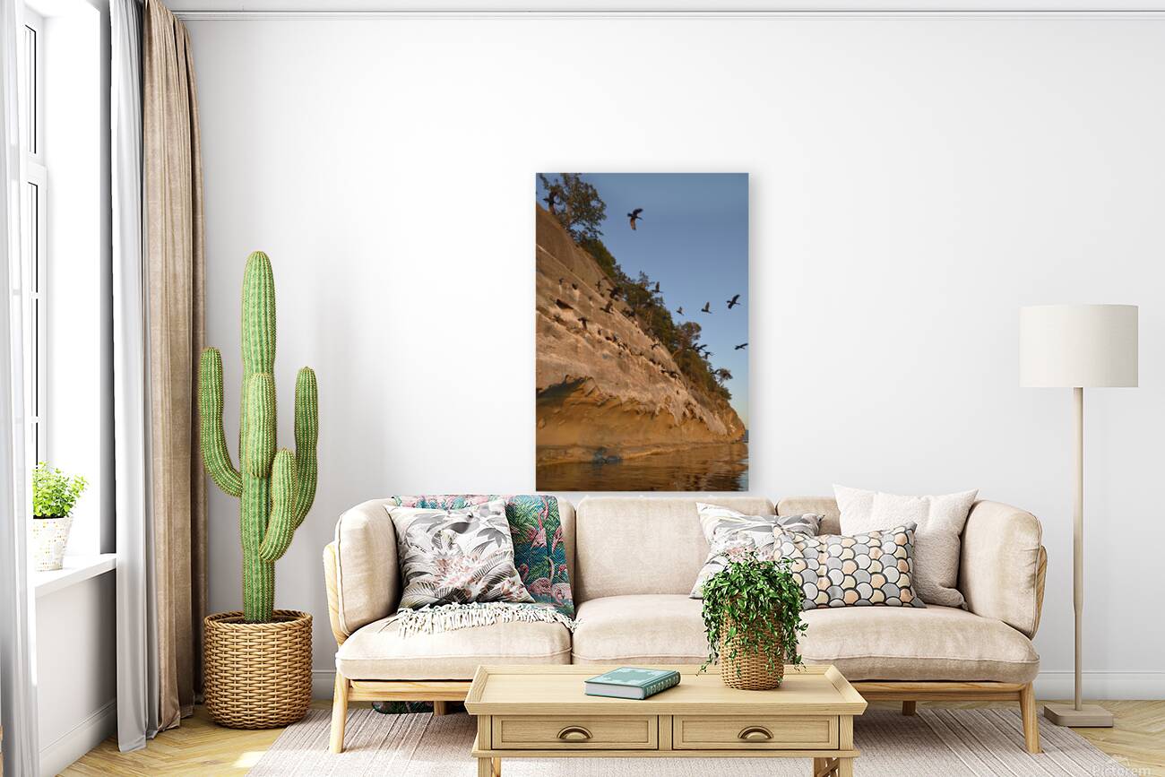 CORMORANTS FLYING ABOVE SCULPTED SANDSTONE CLIFFS Reproduction
