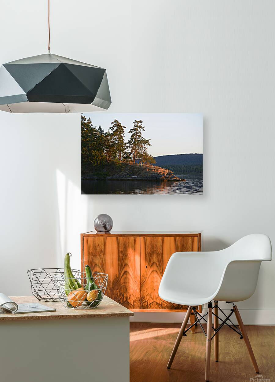 Arbutus and fir trees on the point at Conover Cove Reproduction