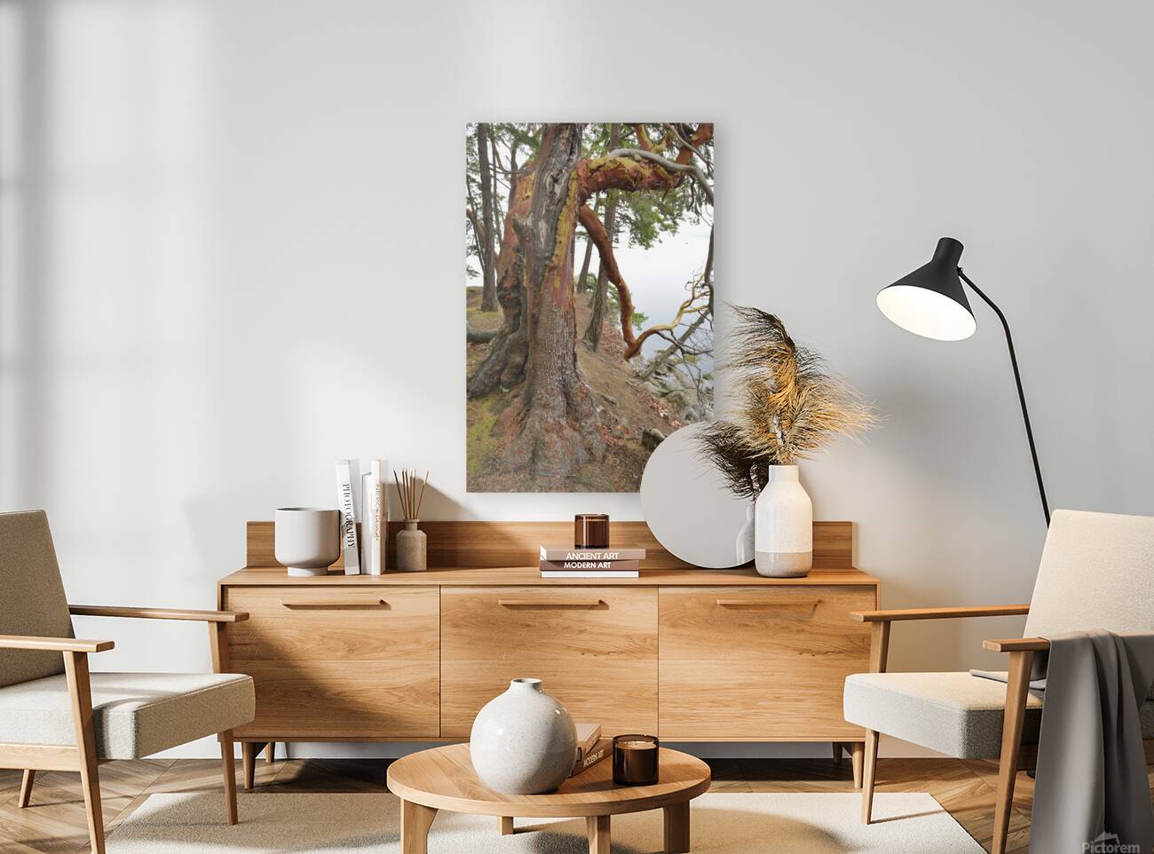 Arbutus tree at Panther Point  Reproduction