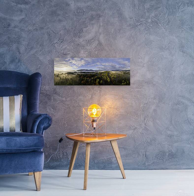 Spring Rays - Vancouver Island Reproduction