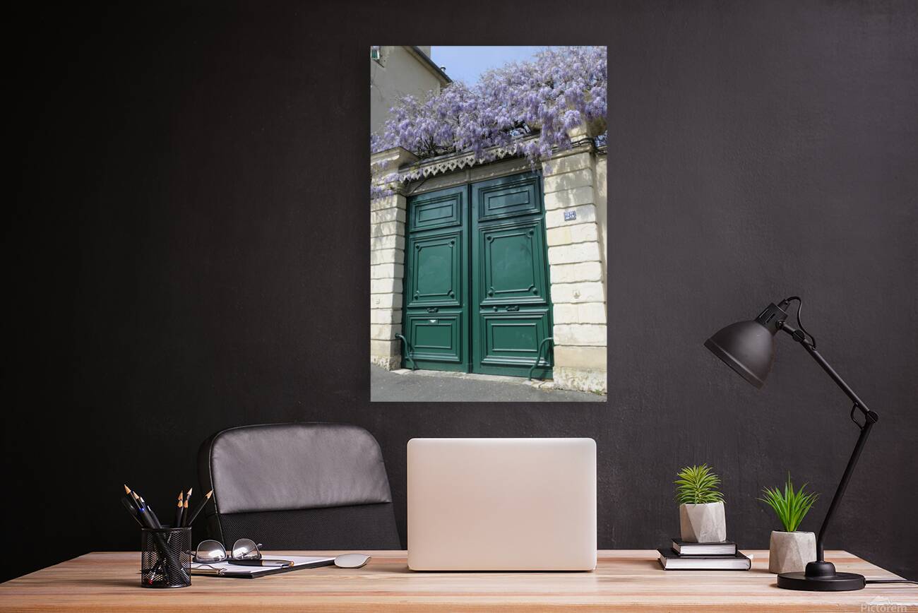 Green door with Wisteria plant in bloom. Nevers Nievre. France Reproduction