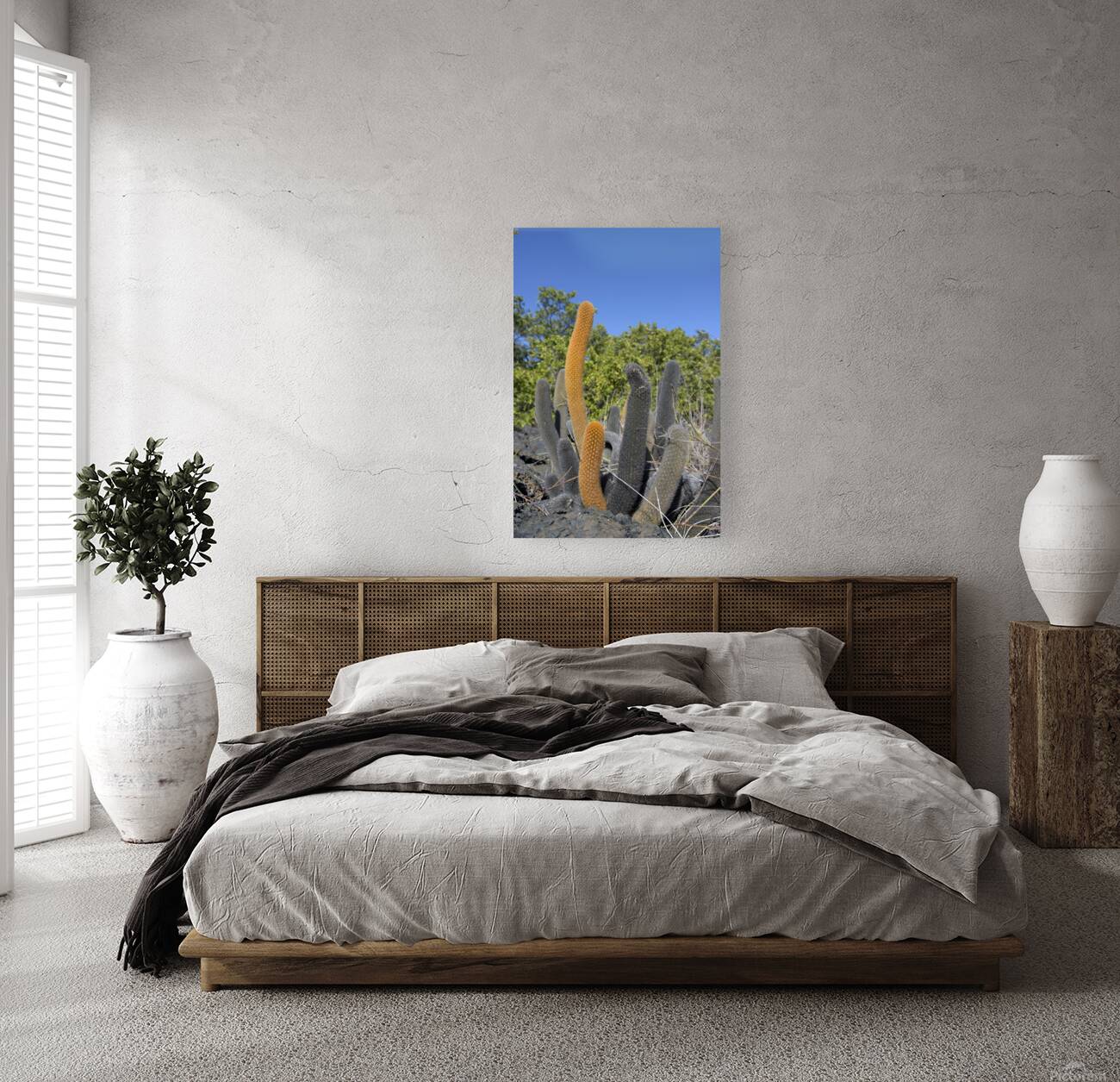 KO EC 8313 Reproduction