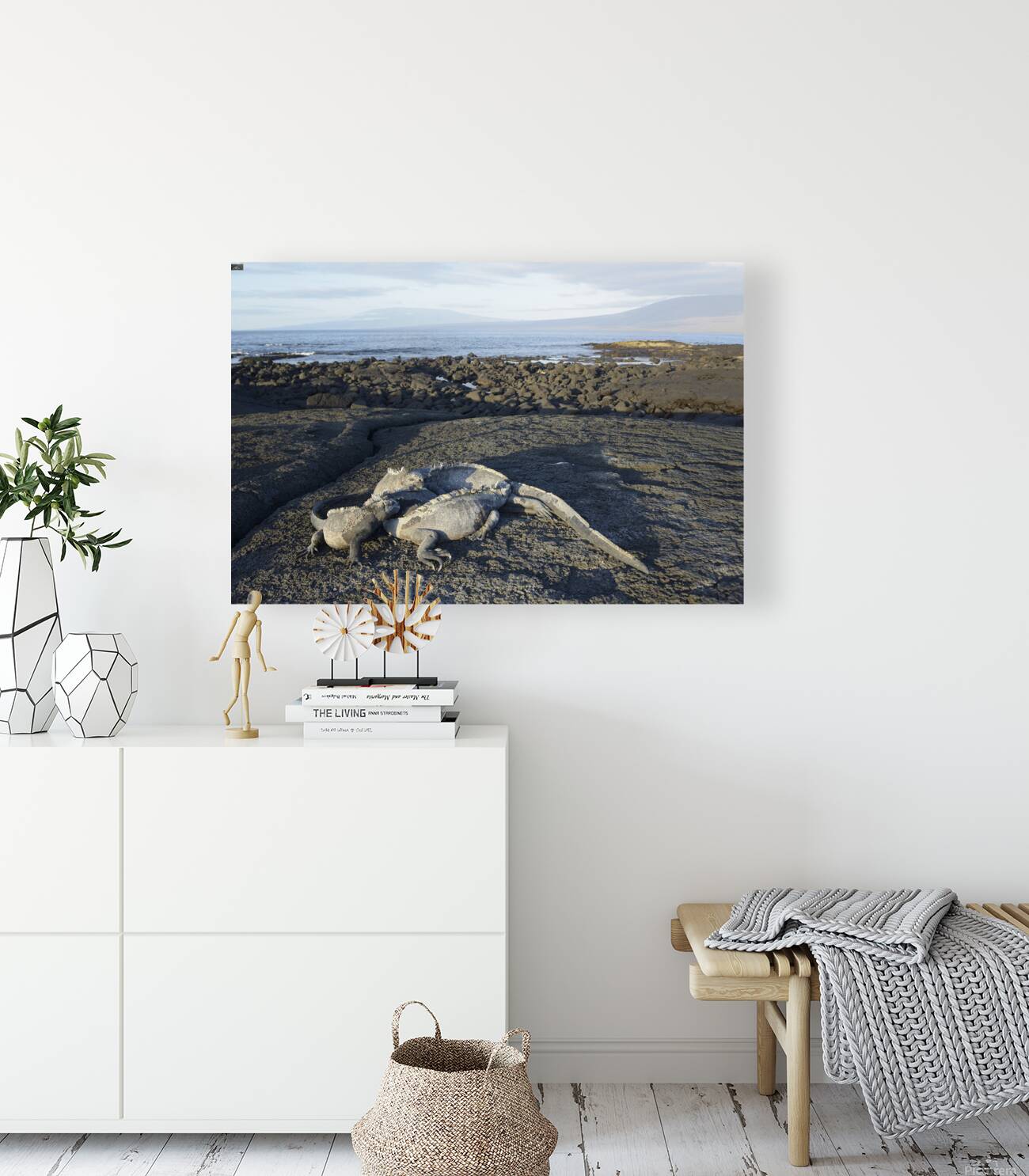 KO EC 10853 Reproduction