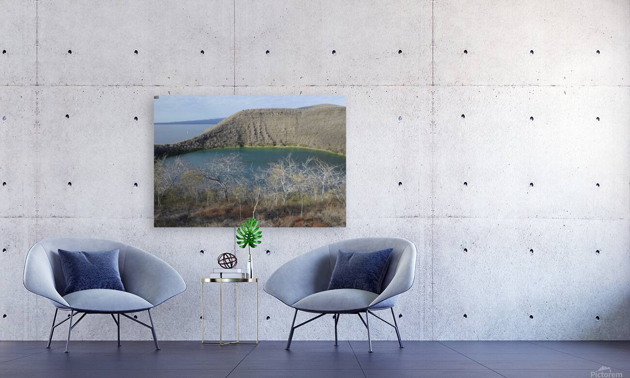 KO EC 11387 Reproduction