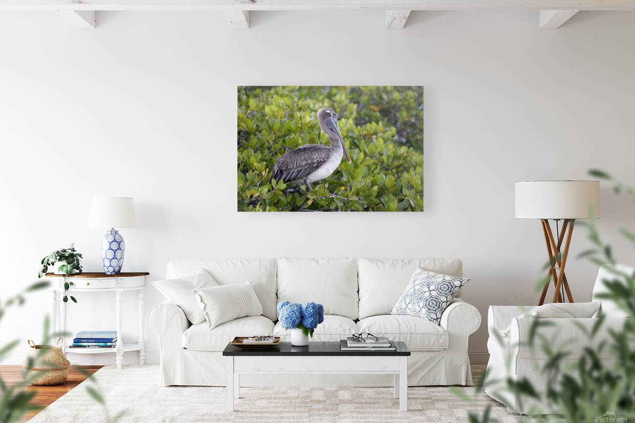 KO EC 7861 Reproduction