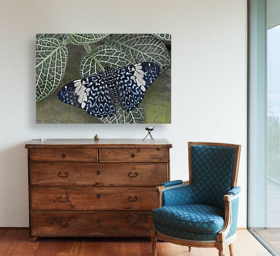 KO EC 17760 Reproduction