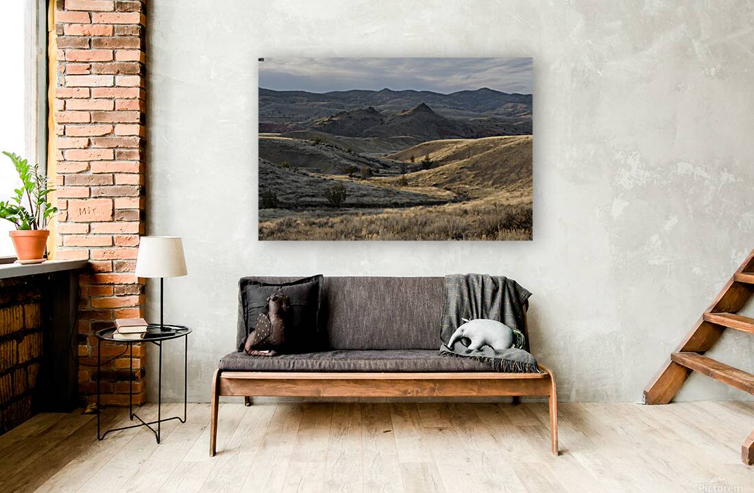 John Day Fossil Beds National Monument Oregon Reproduction