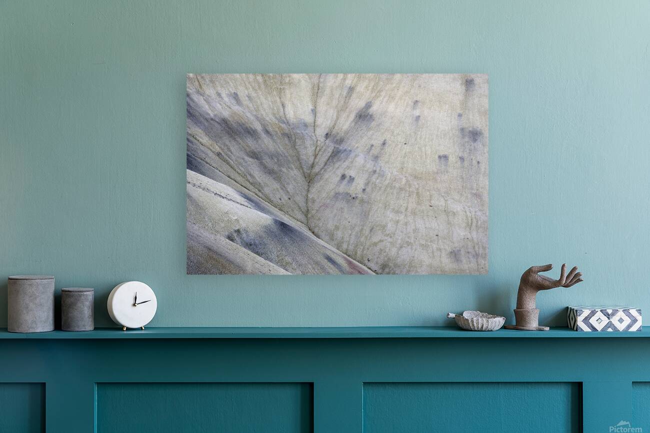 John Day Fossil Beds National Monument Oregon Reproduction