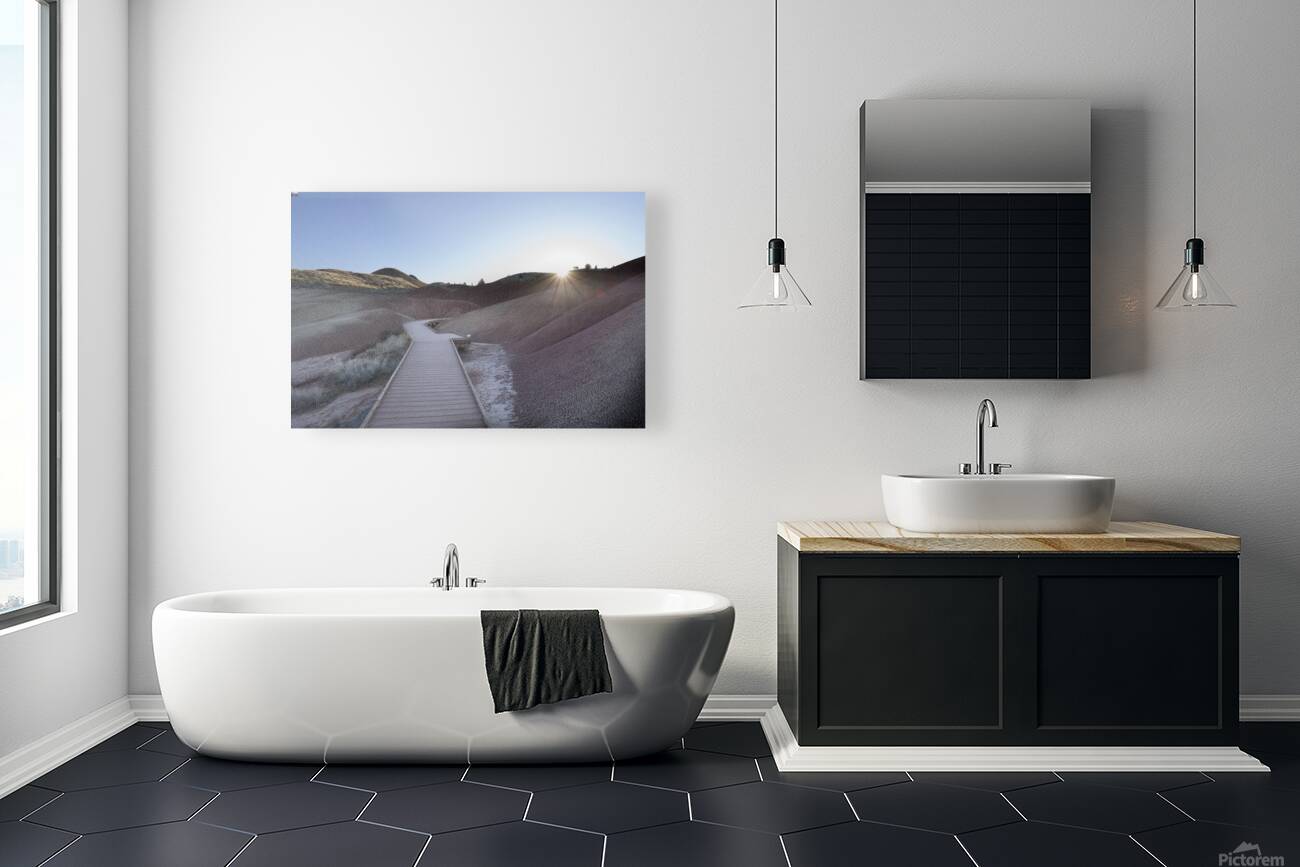 John Day Fossil Beds National Monument Oregon Reproduction