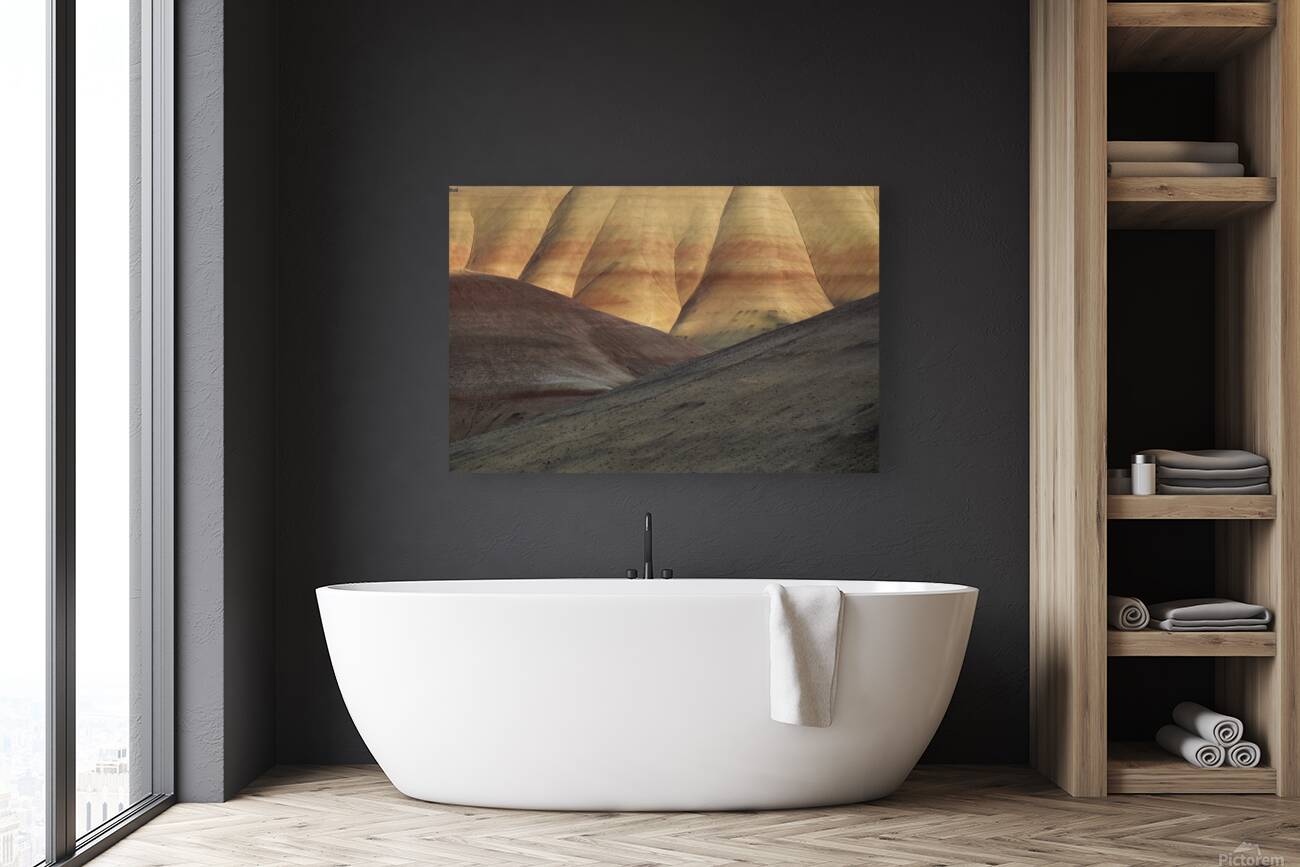 John Day Fossil Beds National Monument Oregon Reproduction